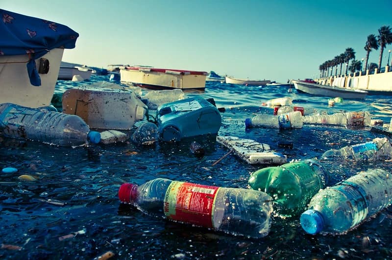 Photo constat n°2 - Réduire l’usage du plastique est une priorité